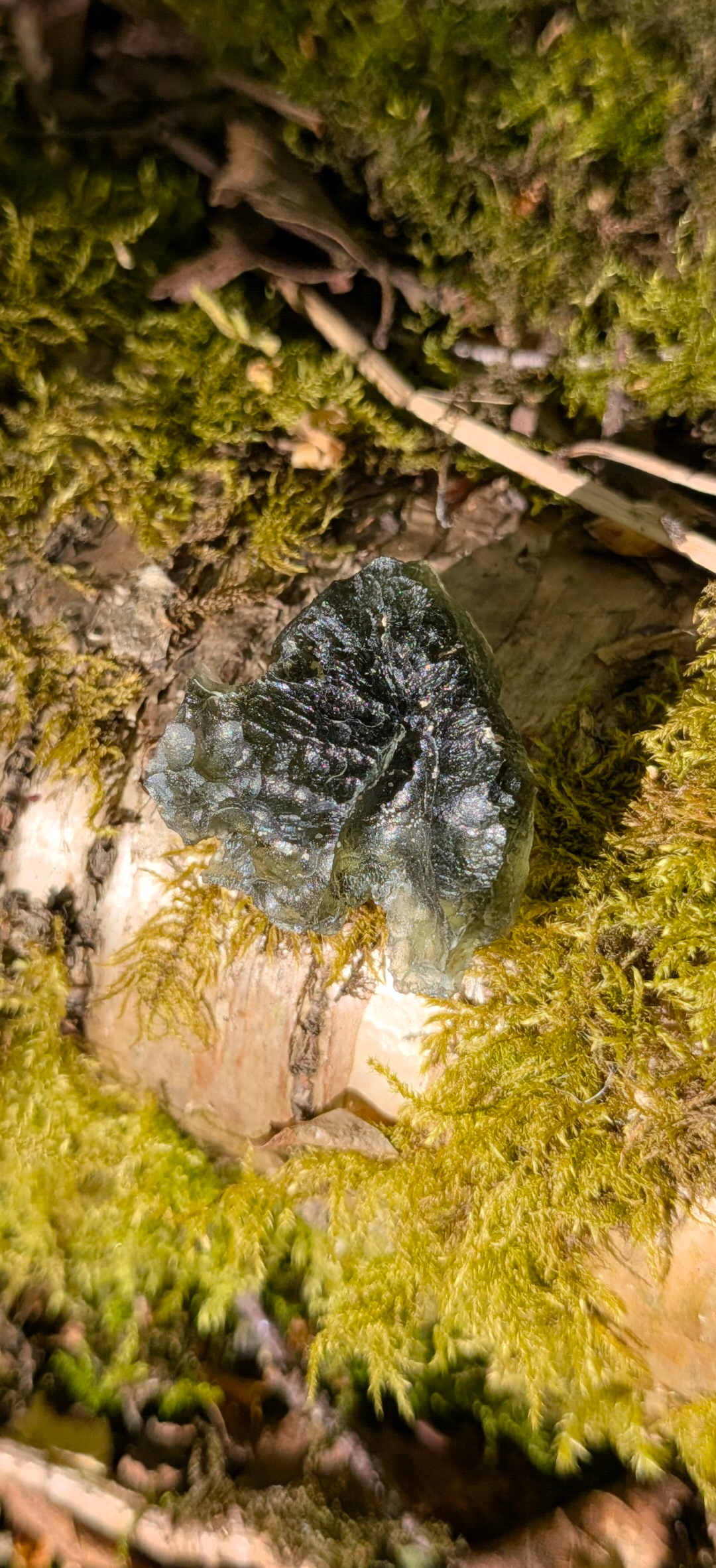 A++ Grade Moldavite From Dolni Chrastany #63 - 5,40g