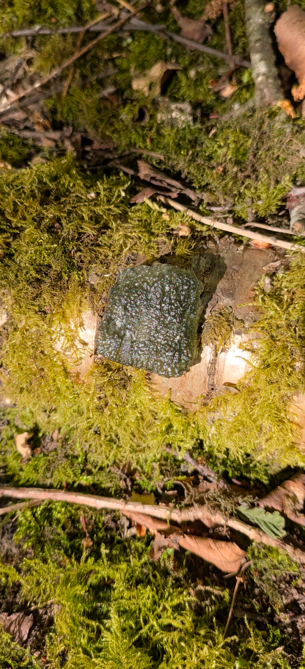 A++ Grade Moldavite From Chlum #65 - 6,01g