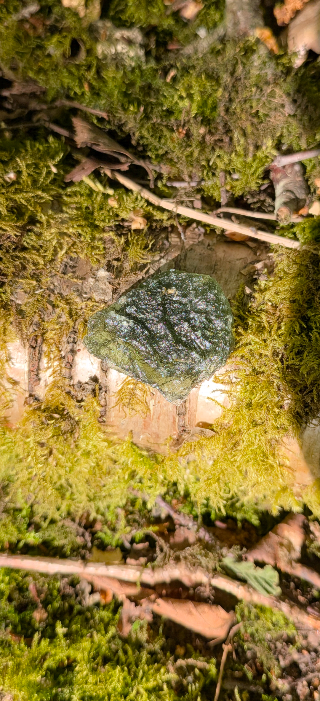 A+ Grade Moldavite From Chlum #67 - 6,35g