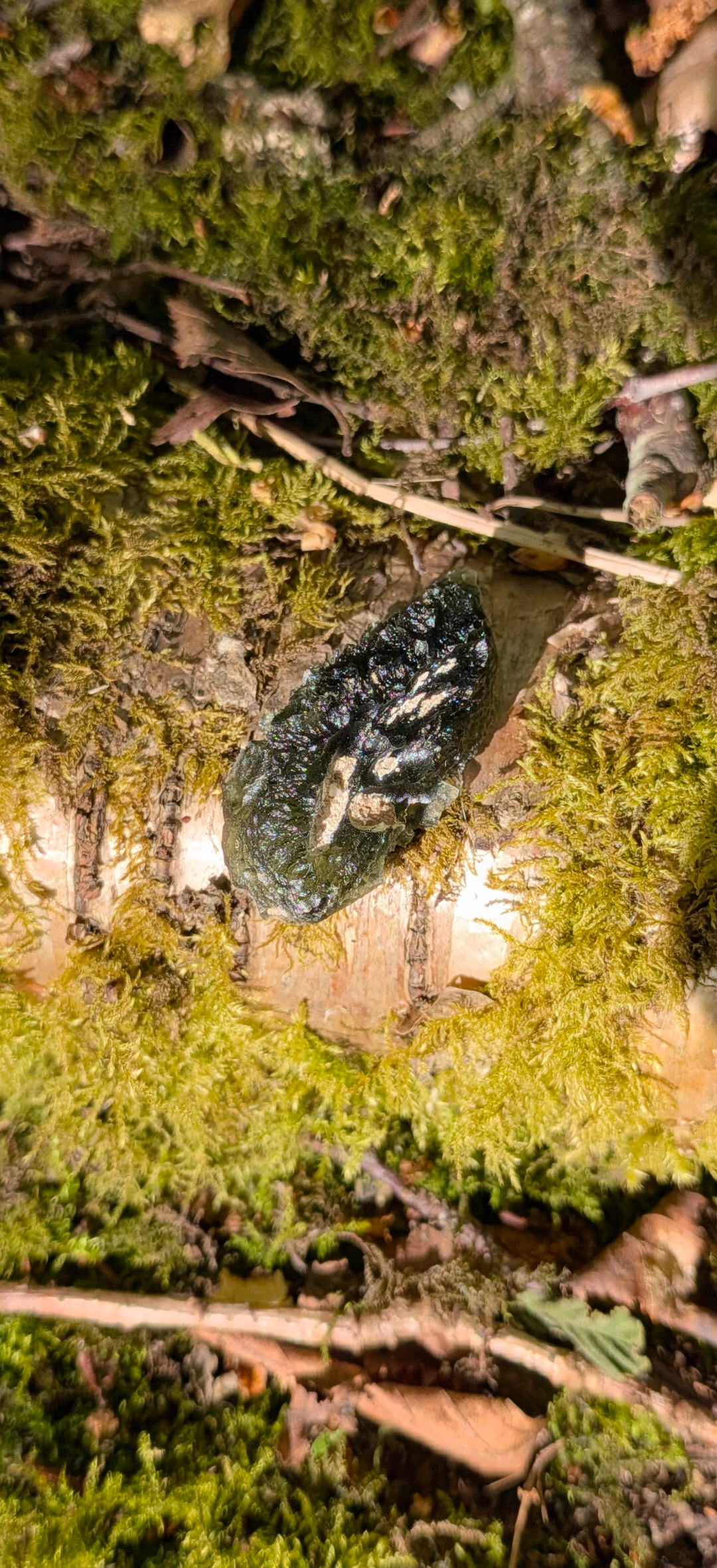 A+++ Grade Moldavite From Dolni Chrastany #68 - 7,46g