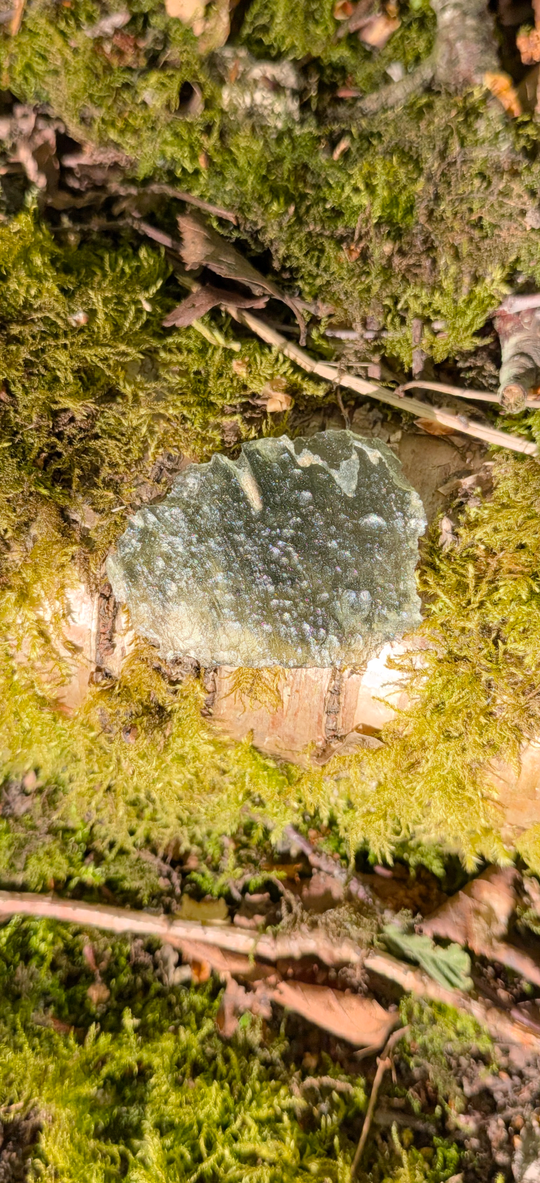 A++ Grade Moldavite From Chlum #69 - 5,77g