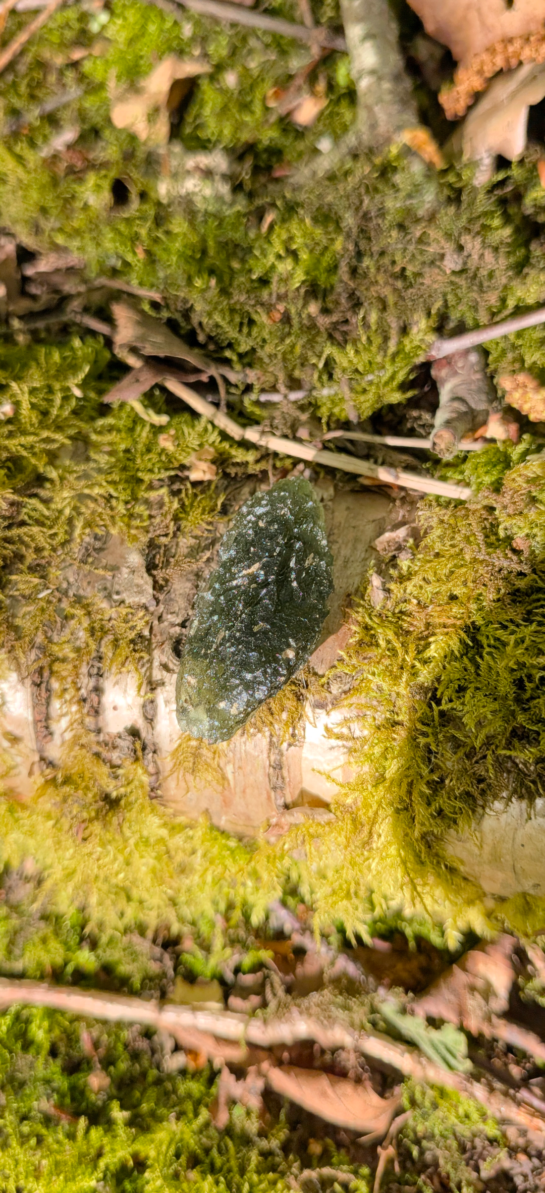 A+ Grade Moldavite From Dolni Chrastany #71 - 5,96g