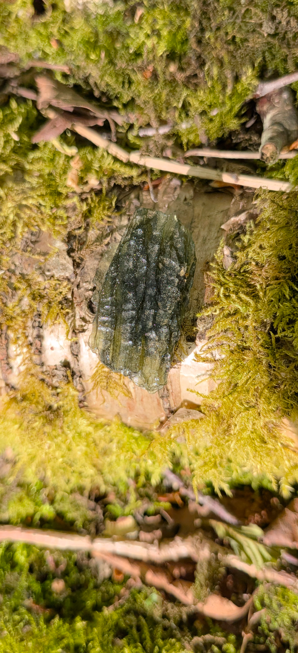 A+ Grade Moldavite From Chlum #72 - 4,70g