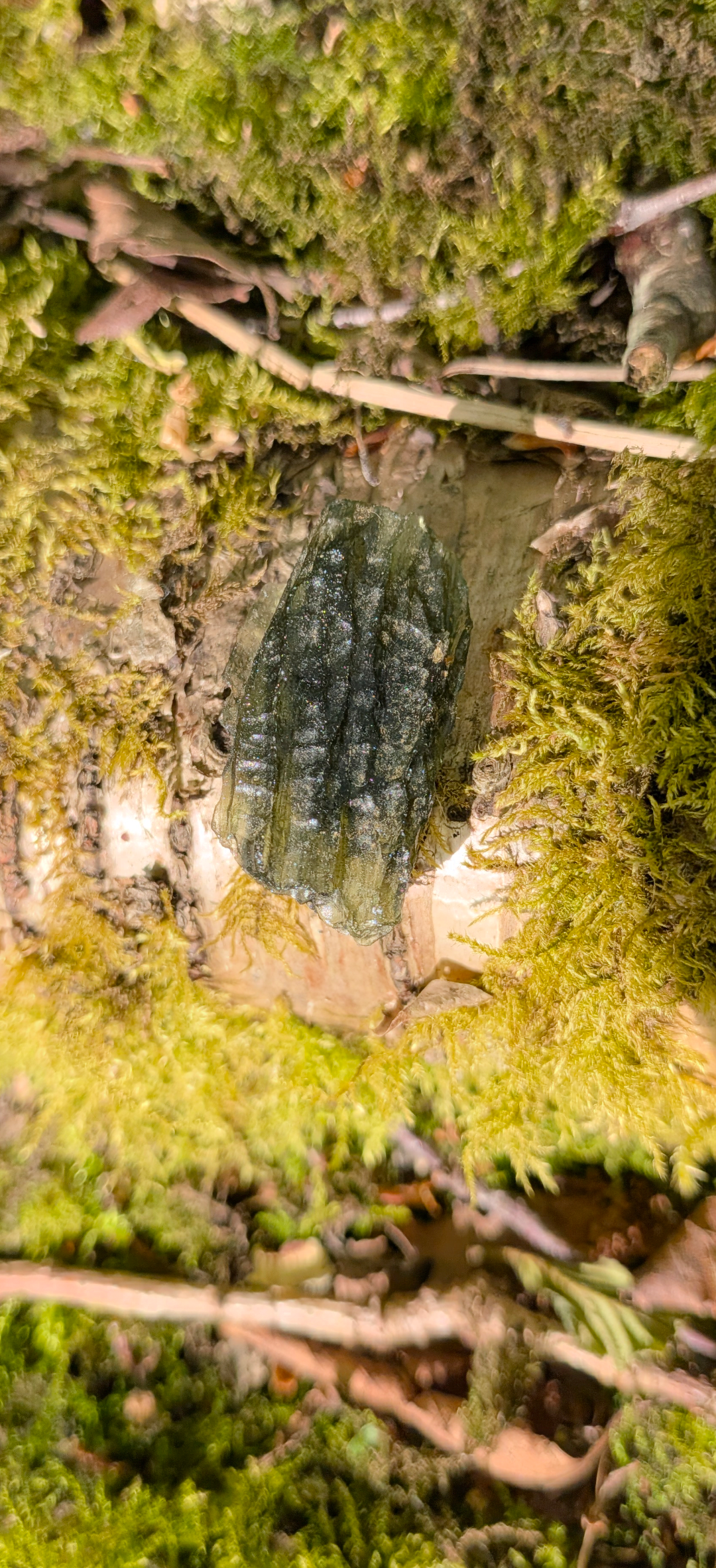 A+ Grade Moldavite From Chlum #72 - 4,70g