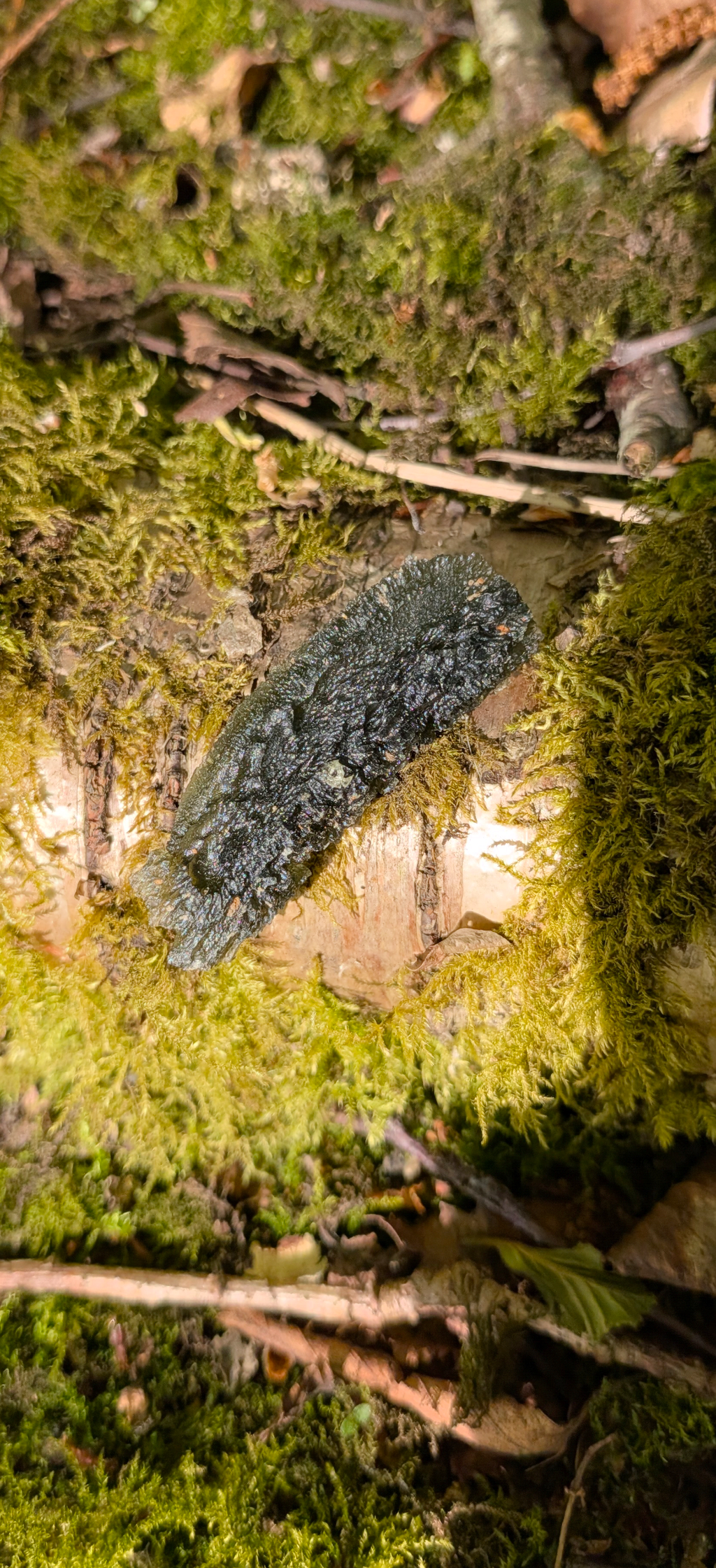 A++ Grade Moldavite From Nesmen - Louka #73 - 6,23g