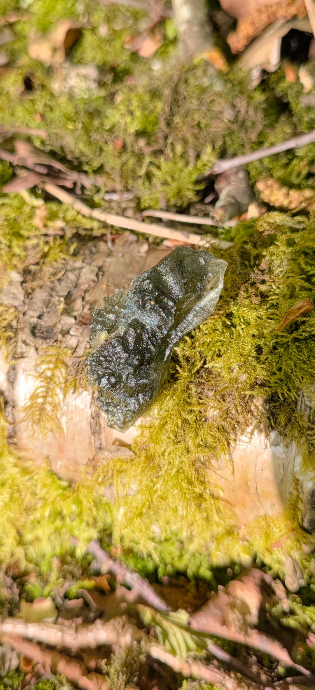 A++ Grade Moldavite From Dolni Chrastany #74 - 5,6g