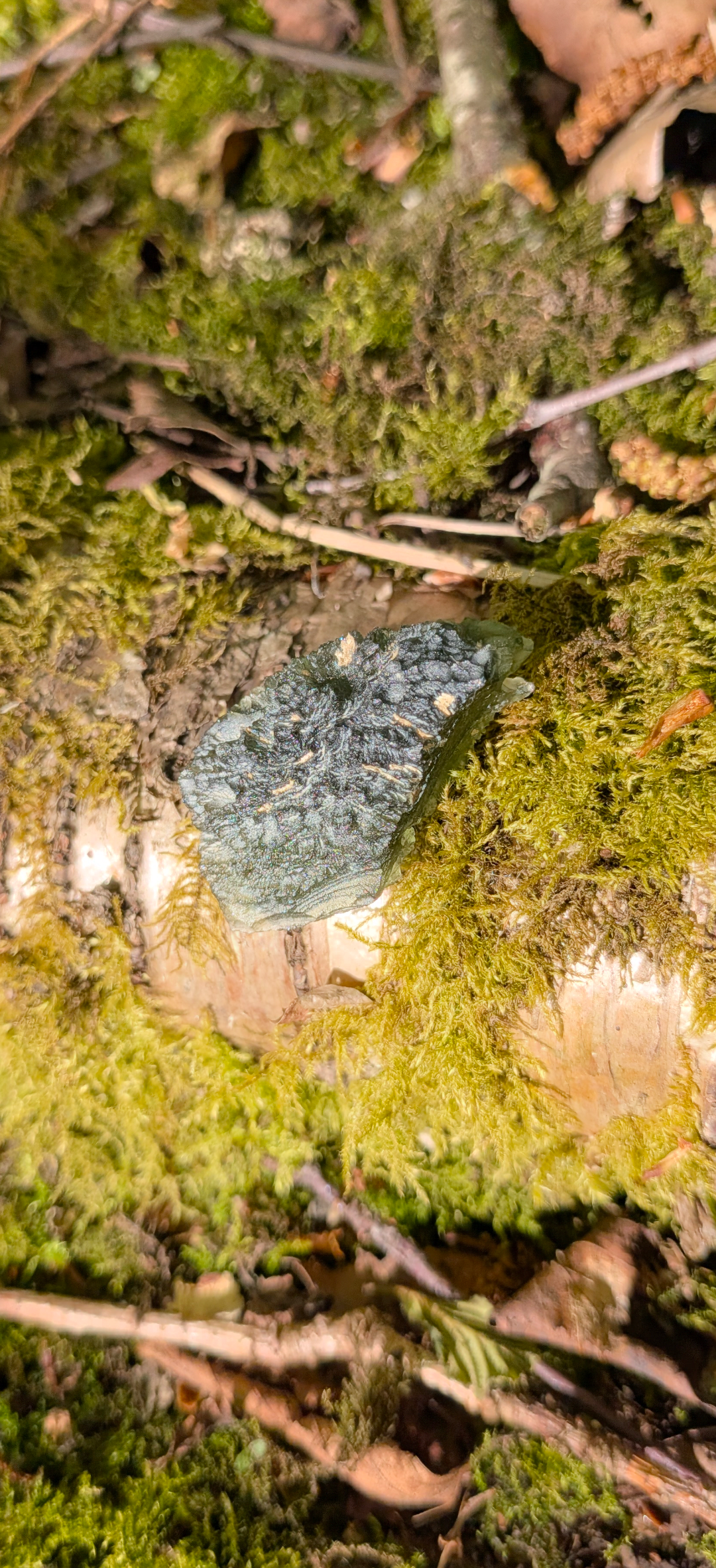 A+ Grade Moldavite From Dolni Chrastany #75 - 8,35g