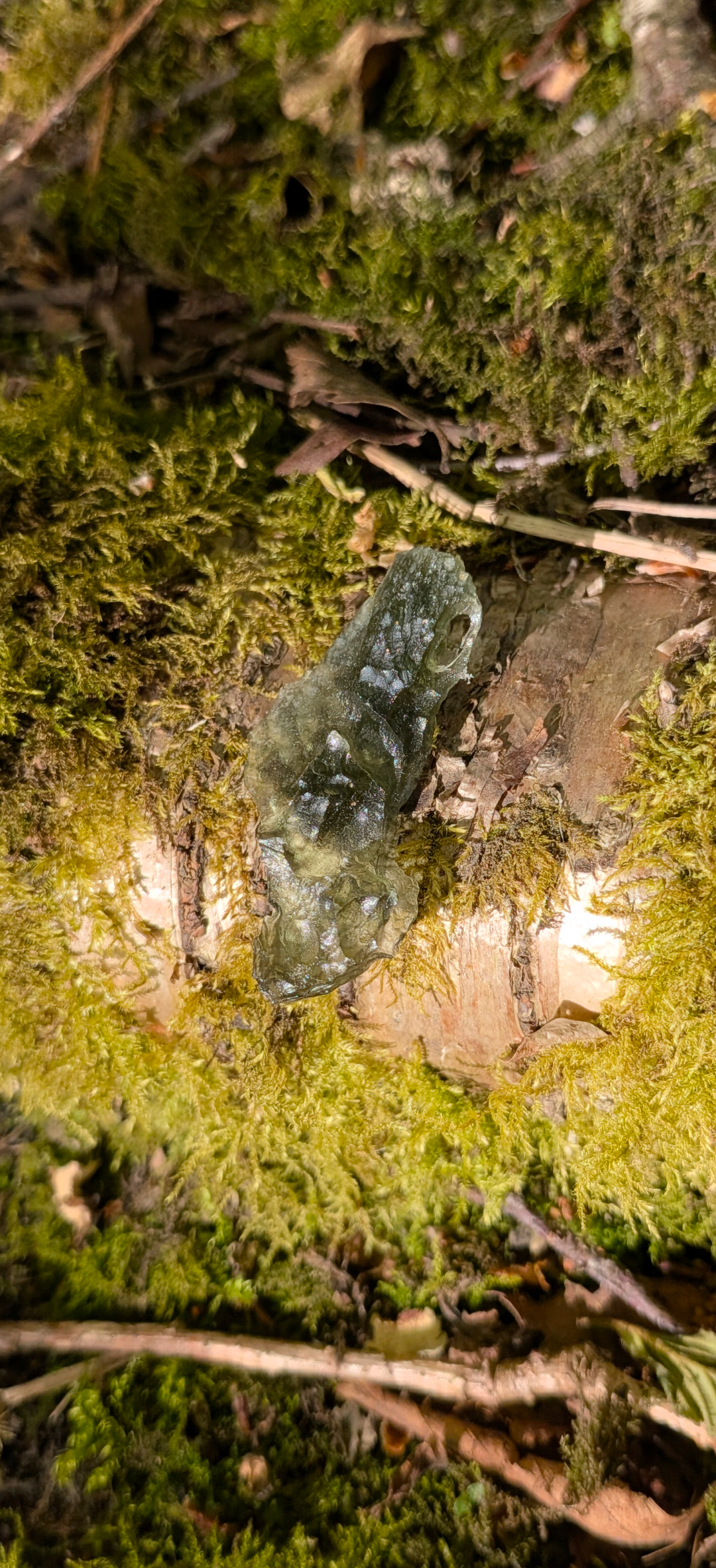 A++ Grade Moldavite From Dolni Chrastany #76 - 3,81g