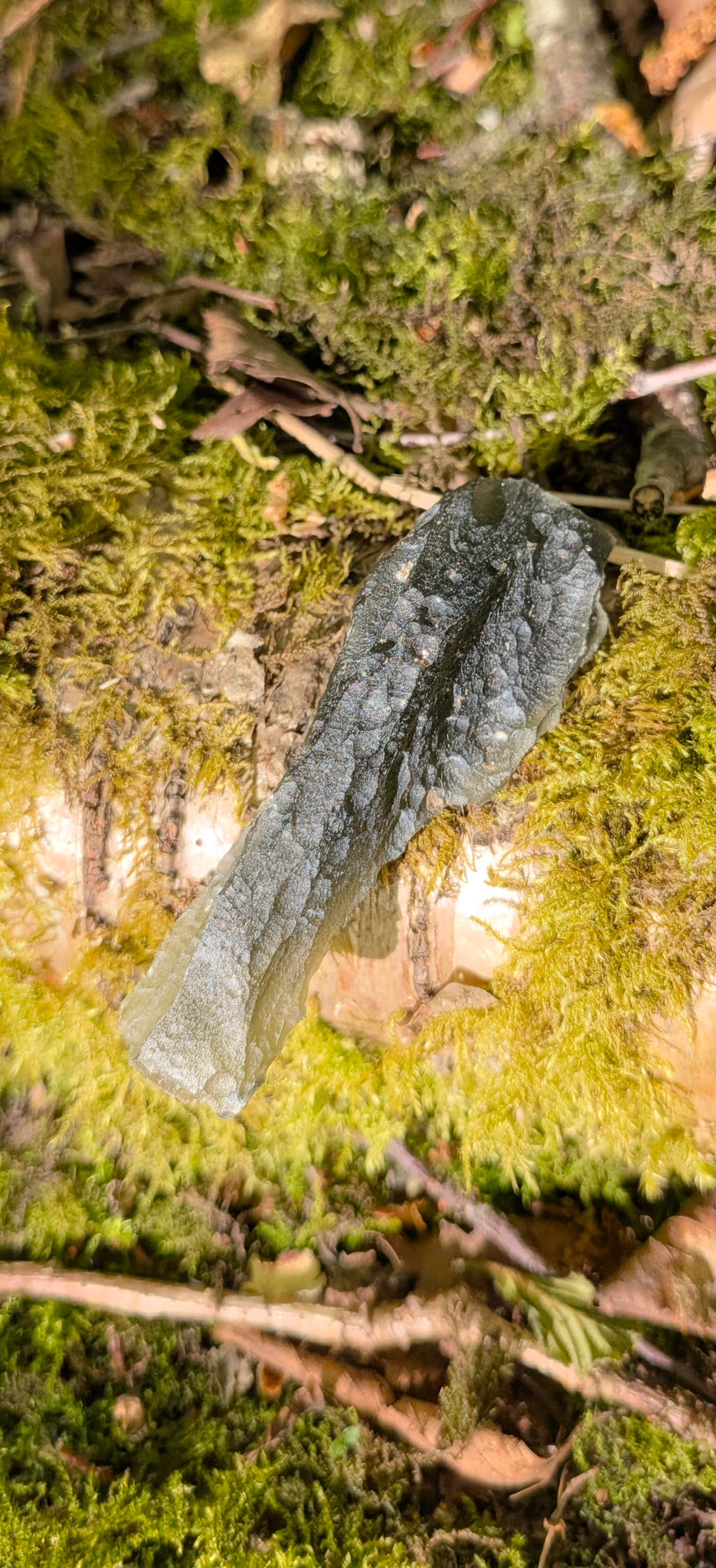 A+++ Grade Moldavite From Dolni Chrastany #77 - 15,01g