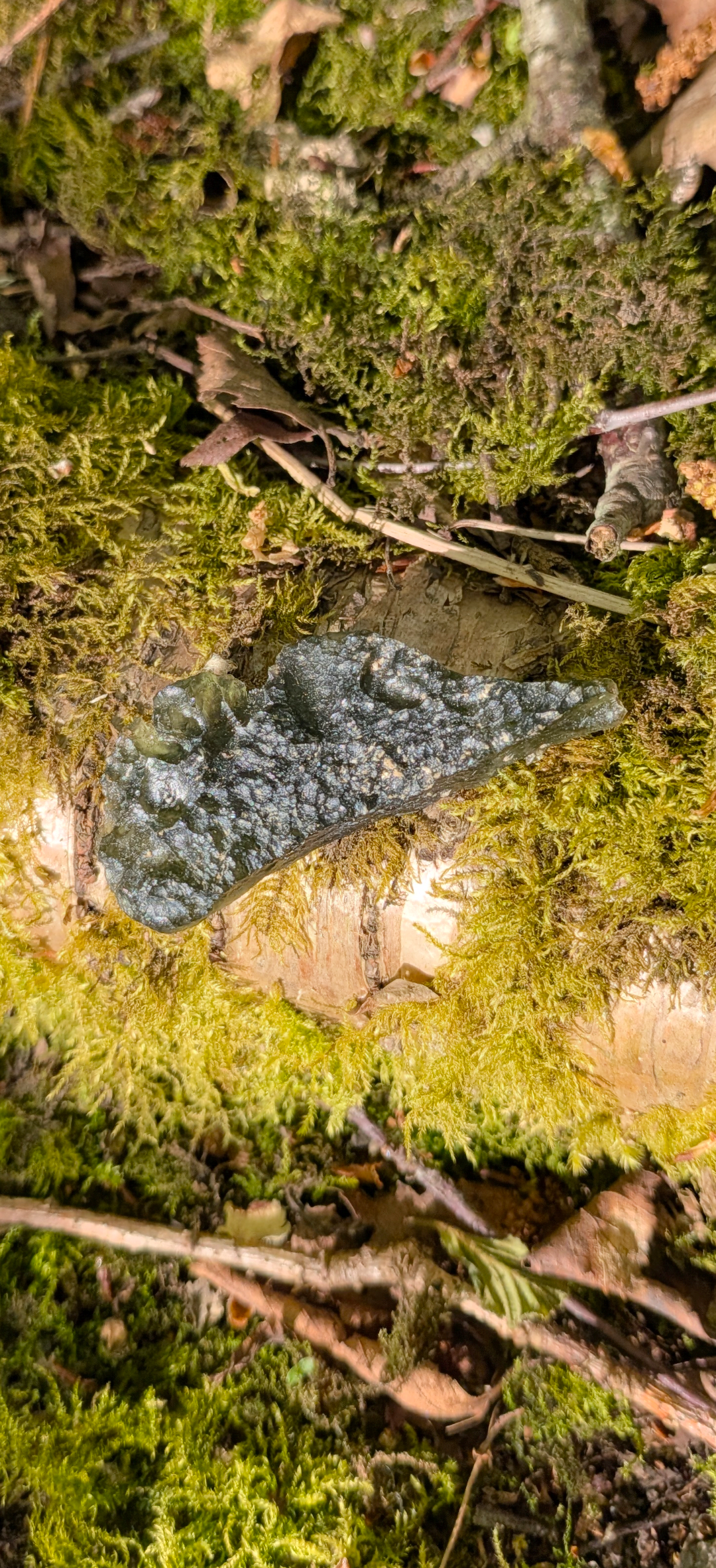 A++ Grade Moldavite From Dolni Chrastany #78 - 12,4g