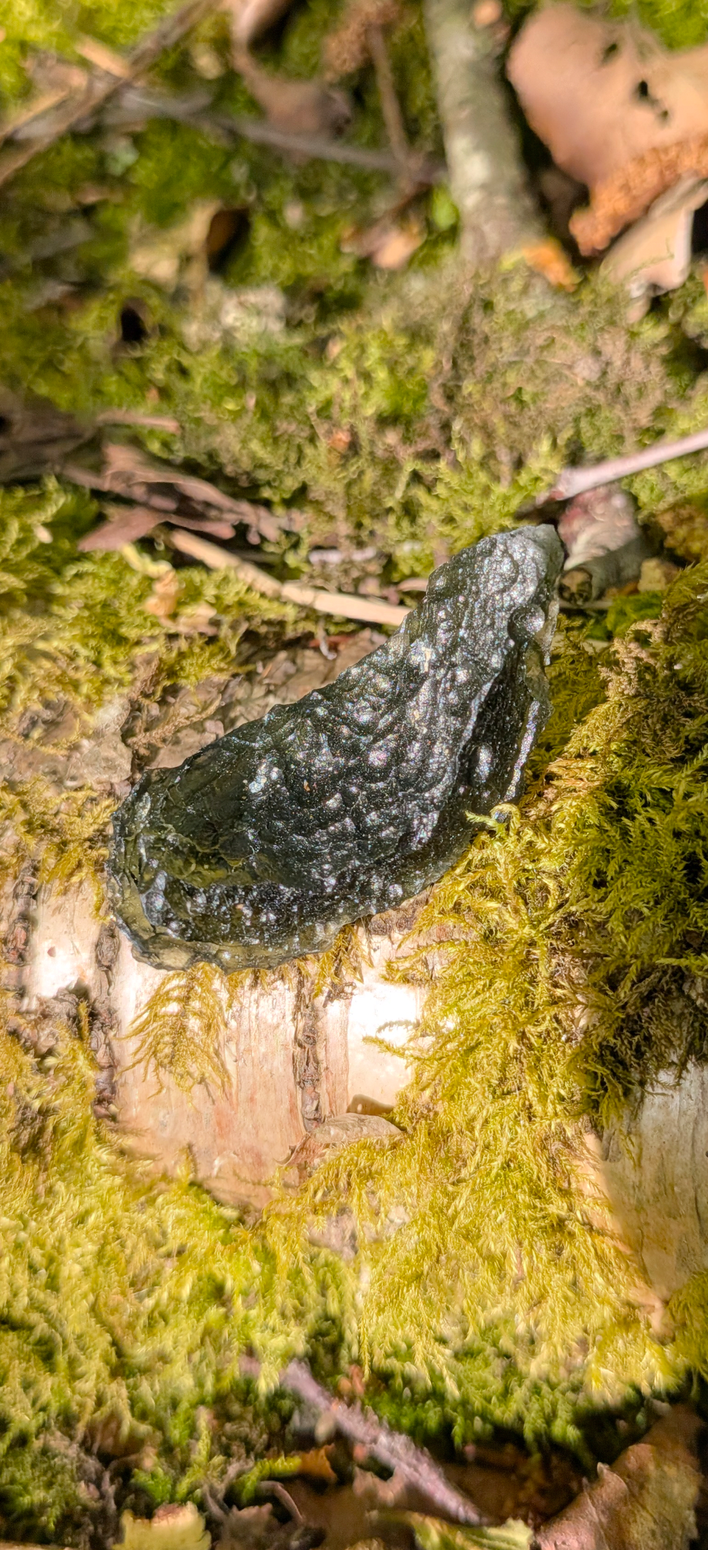 A++ Grade Moldavite From Dolni Chrastany #79 - 9.13g