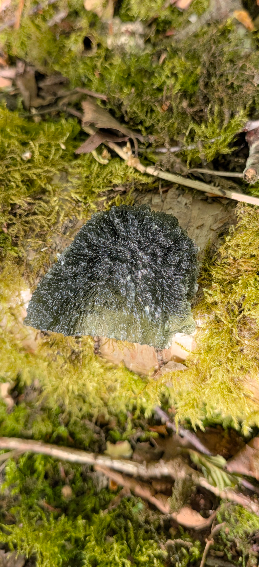 A+++ Grade Moldavite From Slavce #81 - 16,14g