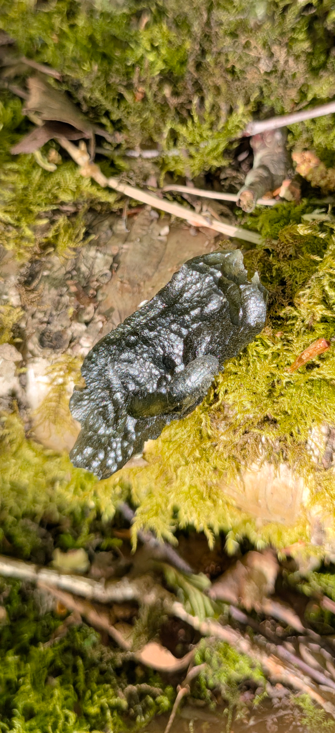 A+ Grade Moldavite From Dolni Chrastany #82 - 10,68g