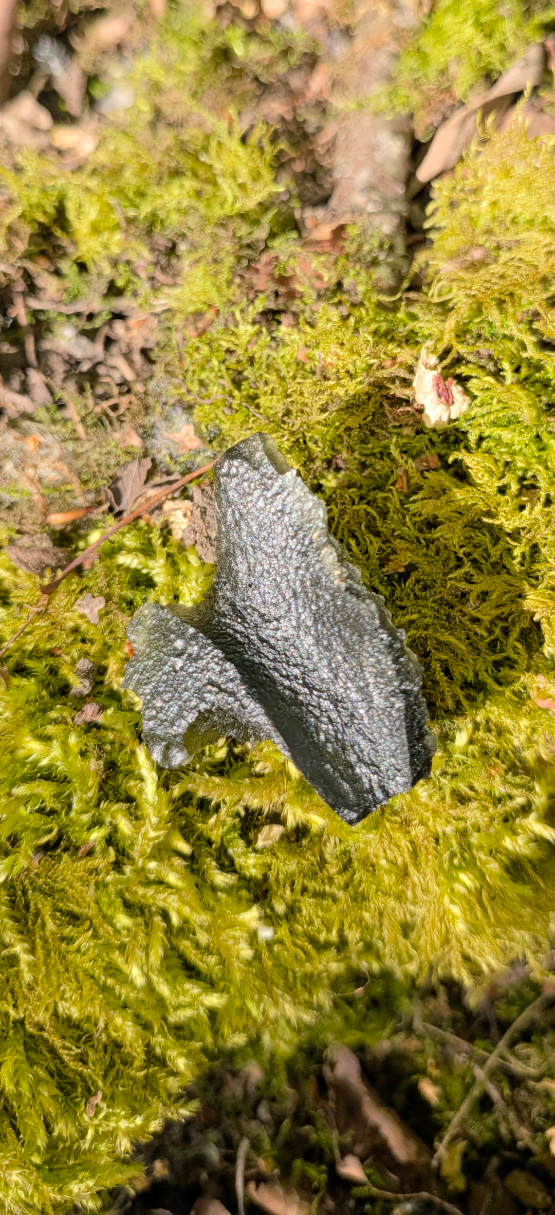 A+++ Grade Moldavite From Dolni Chrastany #83 - 13,64g