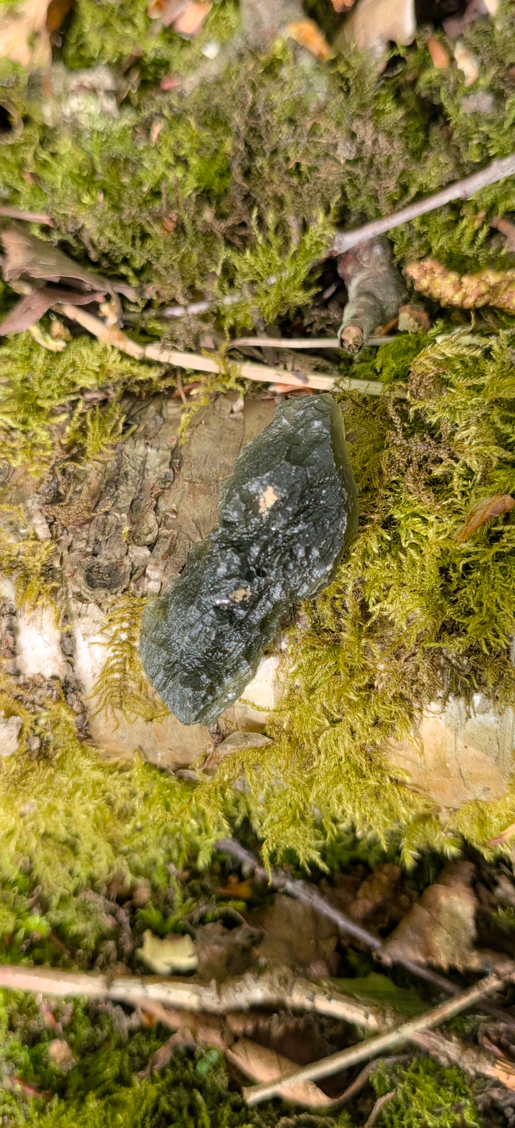 A+ Grade Moldavite From Dolni Chrastany #84 - 7,57g