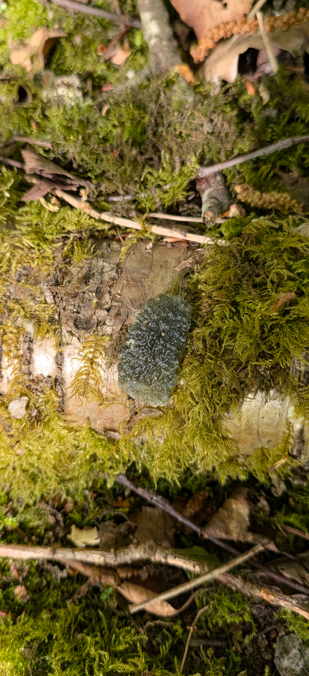 A+ Grade Moldavite From Marouskovo Pole #85 - 2,26g