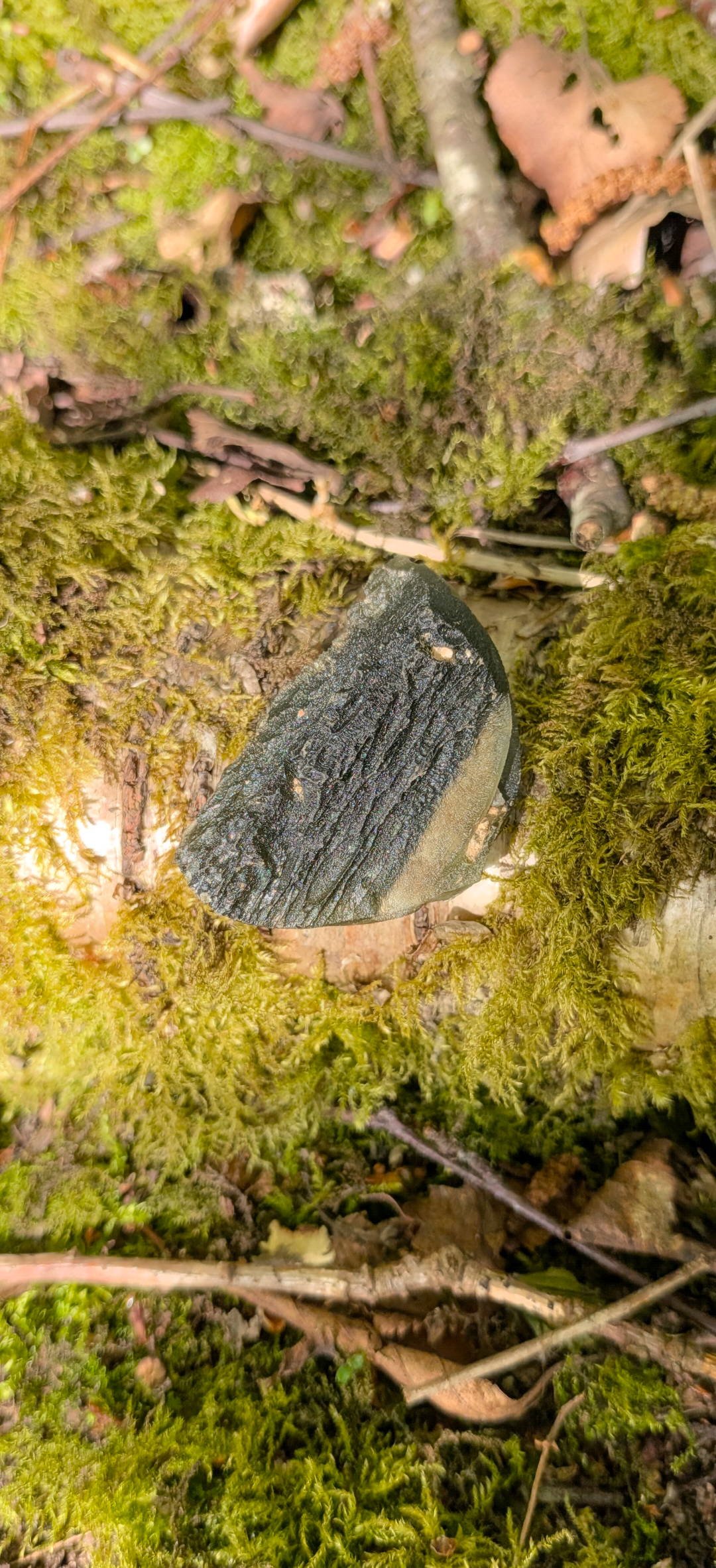 Moldavite From Lipi #86 - 16,97g