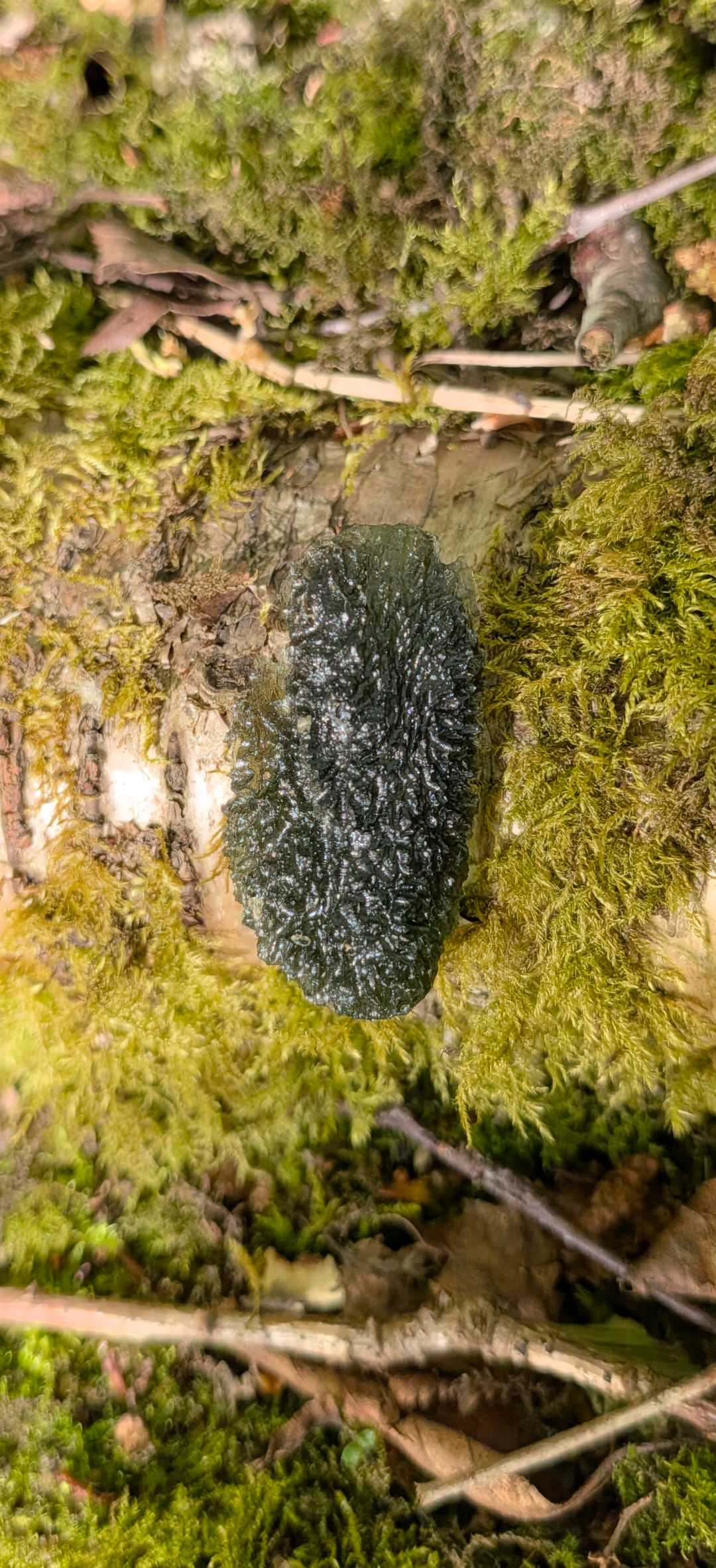 A++ Grade Moldavite From Nesmen Forest #87 - 9,16g