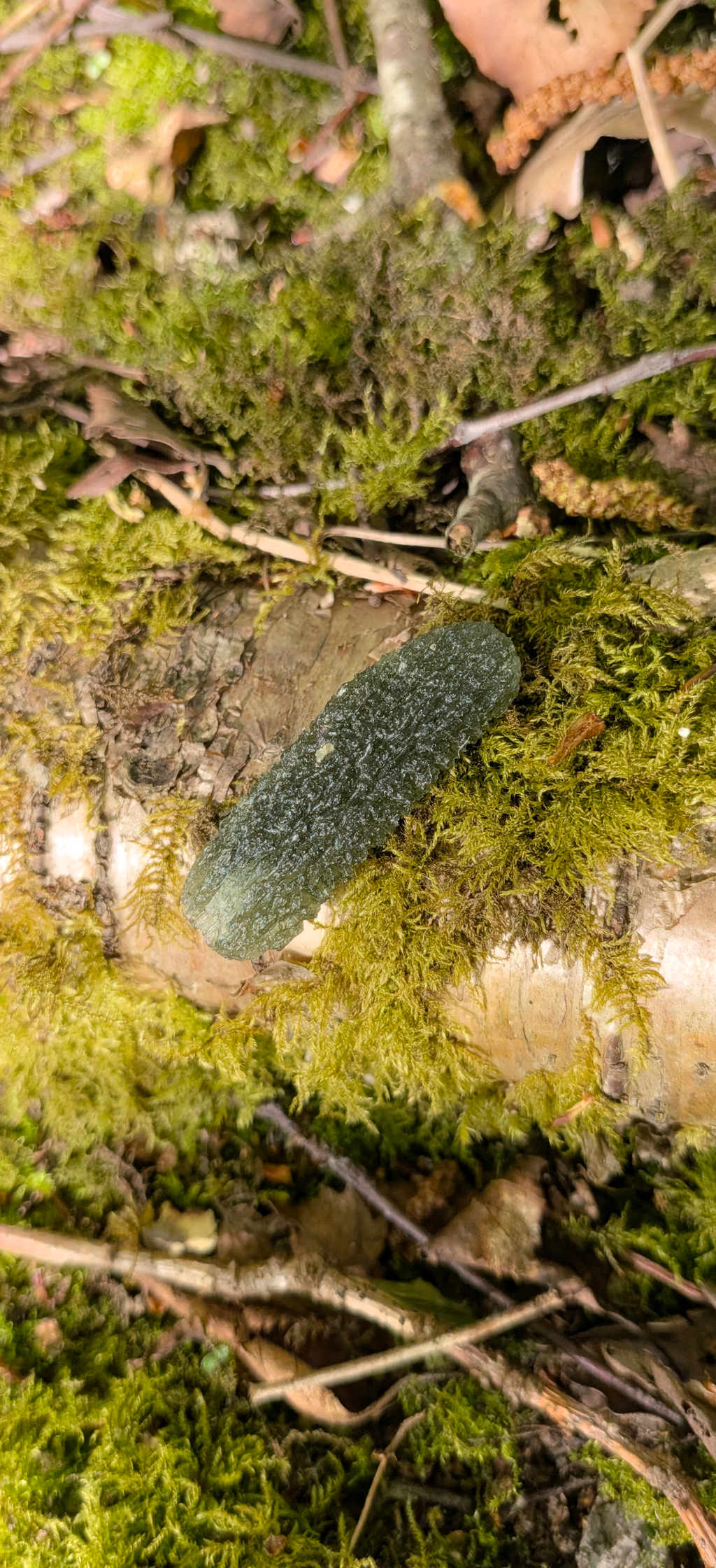 A++ Grade Moldavite From Marouskovo Pole #88 - 5,77g