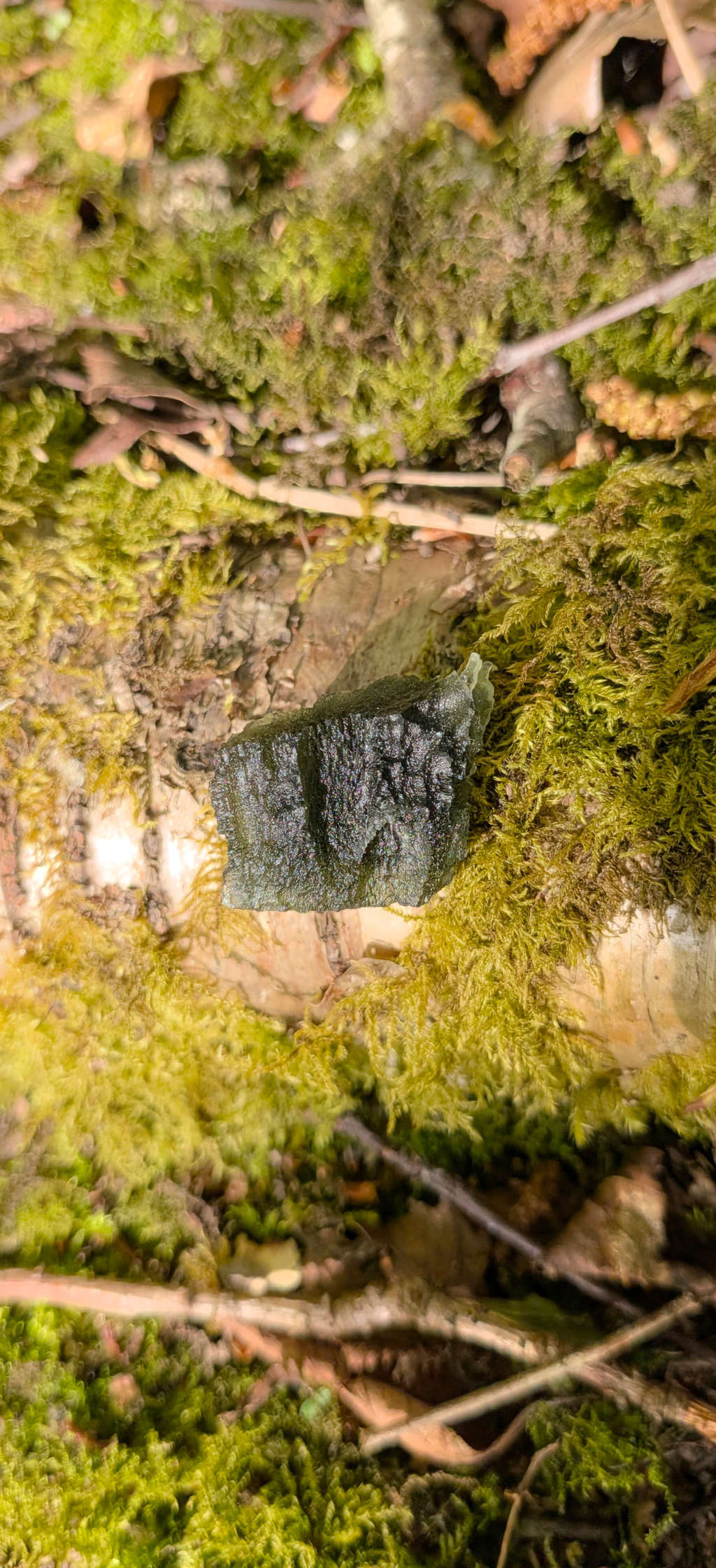 A+ Grade Moldavite From Dolni Chrastany #89 - 6,66g