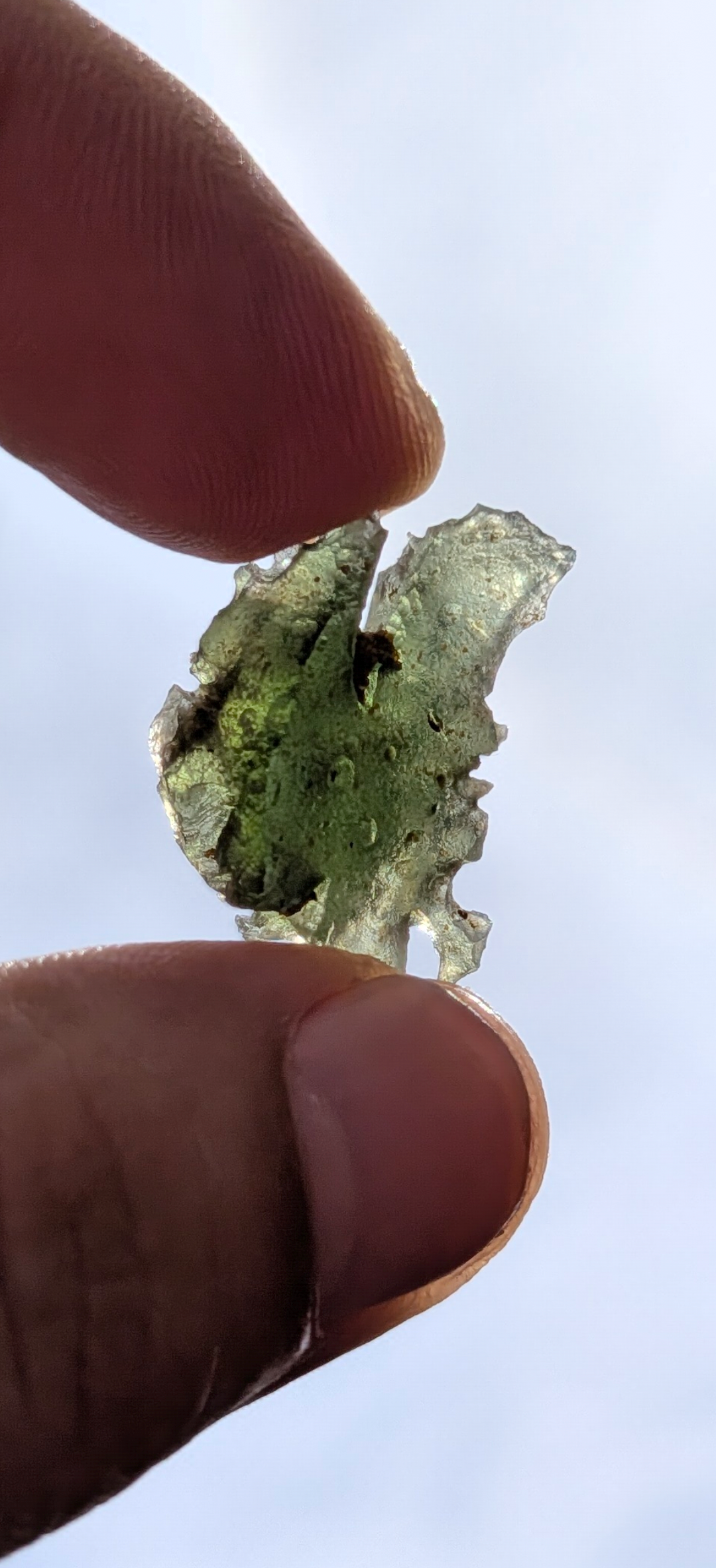 A++ Grade Moldavite From Dolni Chrastany #50 - 3,8g