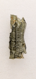 A+ Grade Moldavite From Dolni Chrastany #64 - 3,32g