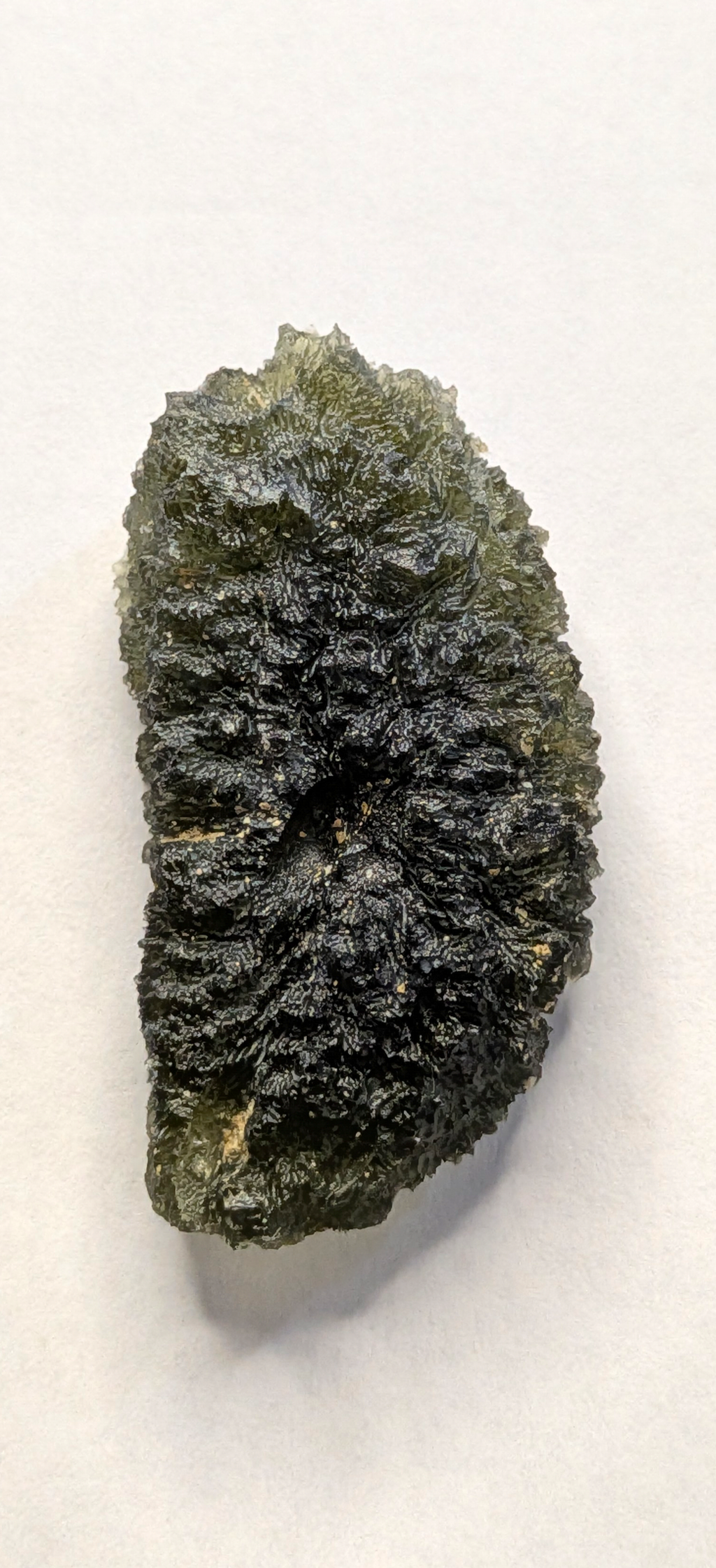 A+++ Grade Moldavite From Dolni Chrastany #146 - 12.94