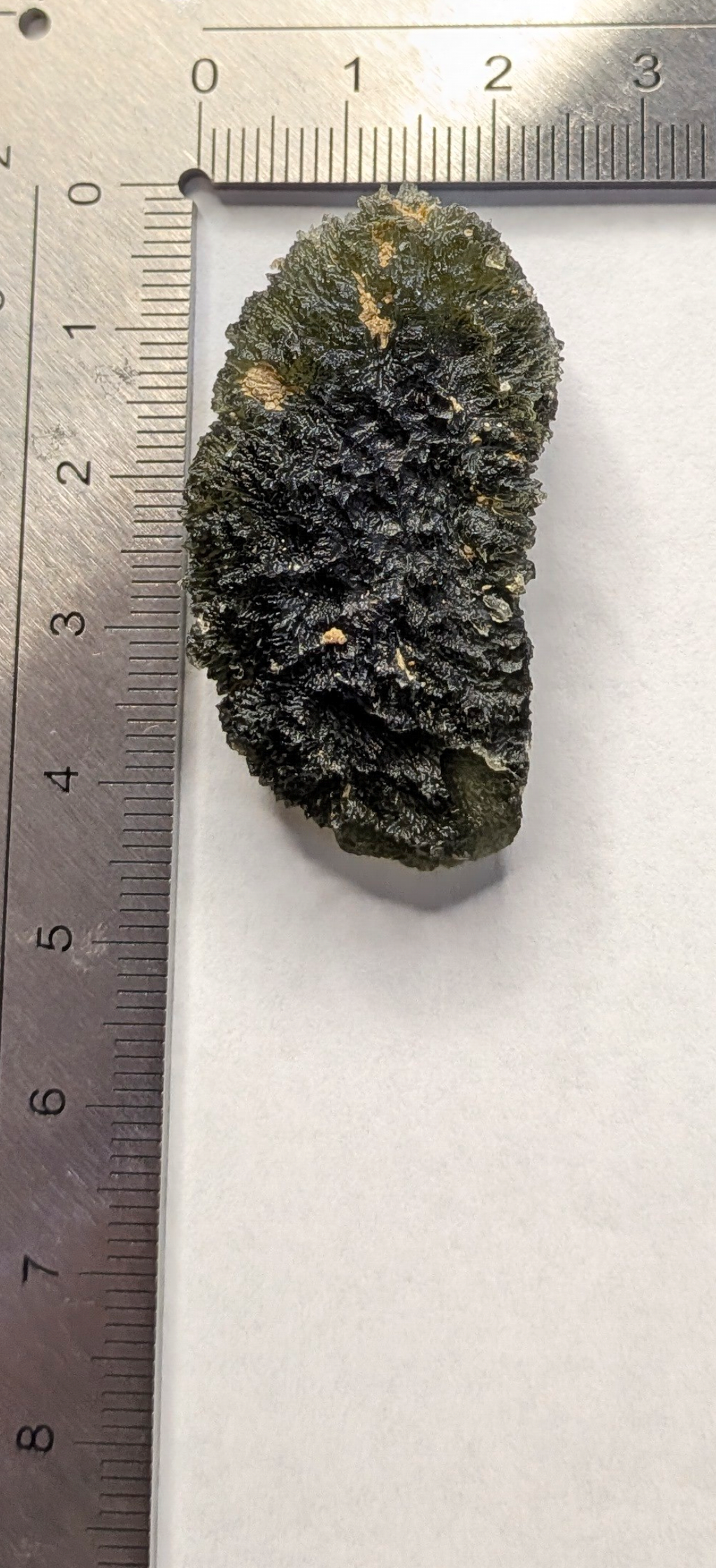 A+++ Grade Moldavite From Dolni Chrastany #146 - 12.94
