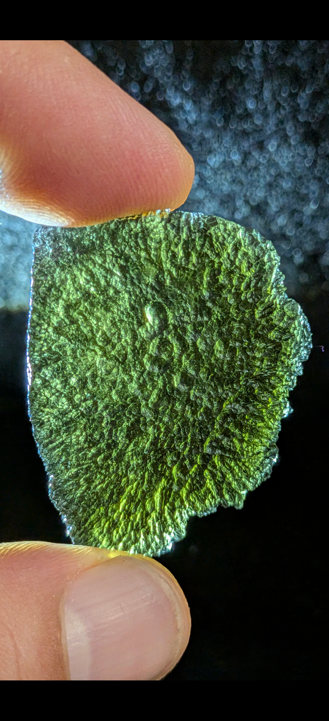 A+++ Grade Moldavite From Chlum #29 - 11.52g