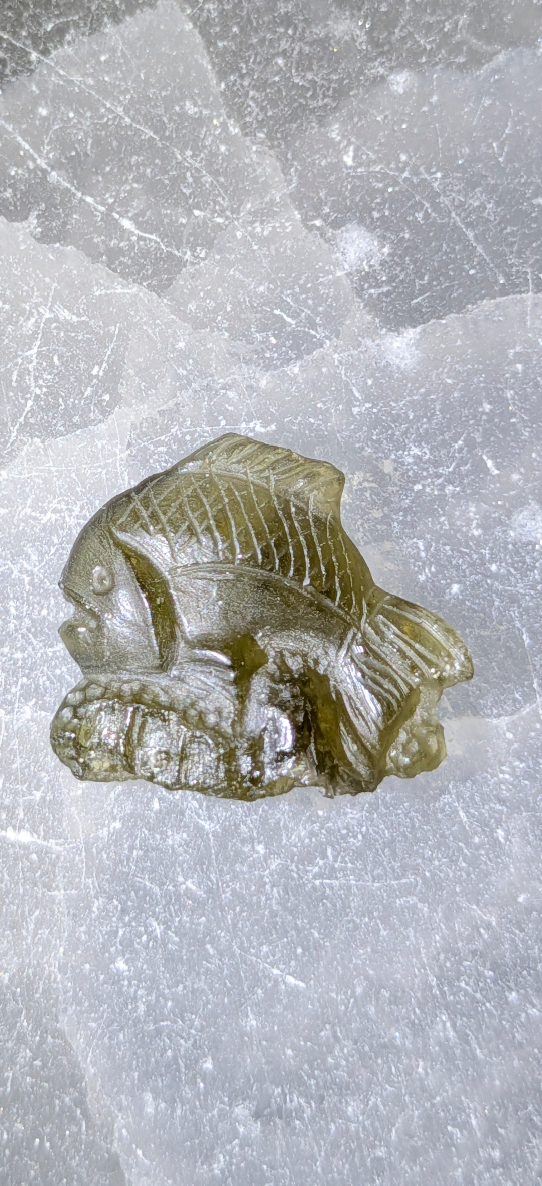 Moldavite Art-Glyptic - Fish #78 - 1.45g