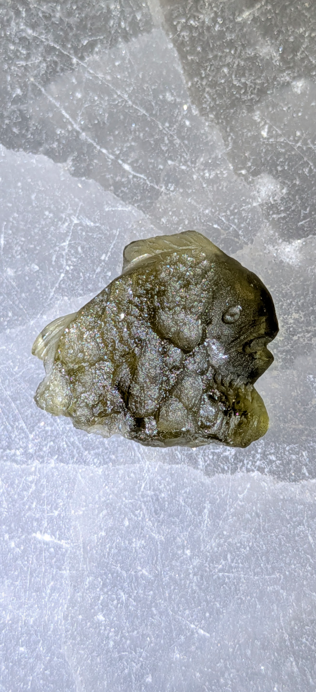 Moldavite Art-Glyptic - Fish #78 - 1.45g