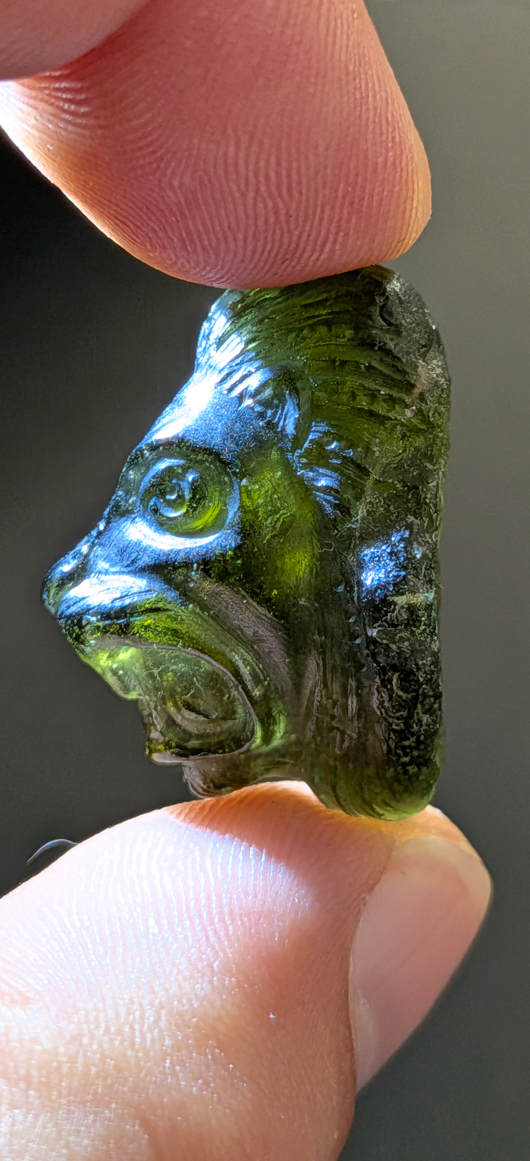 Moldavite Art-Glyptic - Lion #75 - 5.99g