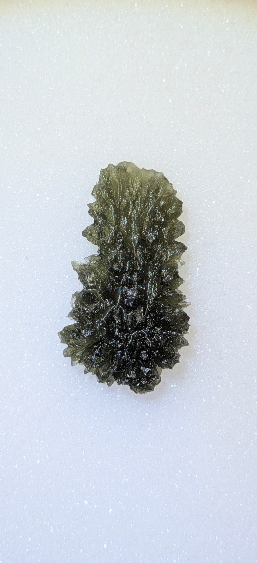 A+++ Grade Hedgehog Moldavite From Besednice - Jezkovna #145 - 8.66g