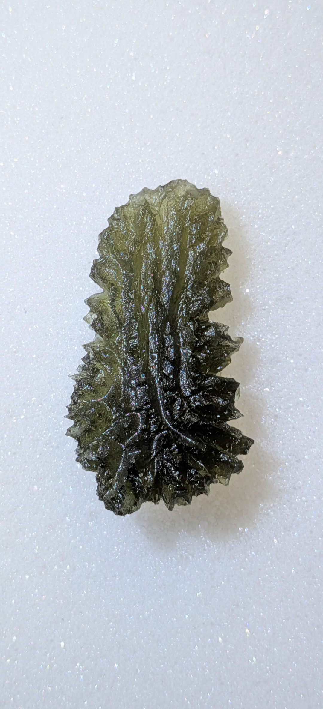 A+++ Grade Hedgehog Moldavite From Besednice - Jezkovna #145 - 8.66g