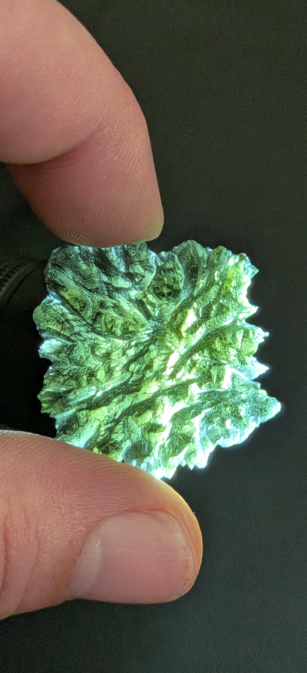 A+++ Grade Hedgehog Moldavite From Besednice - Jezkovna #122 - 6.85g