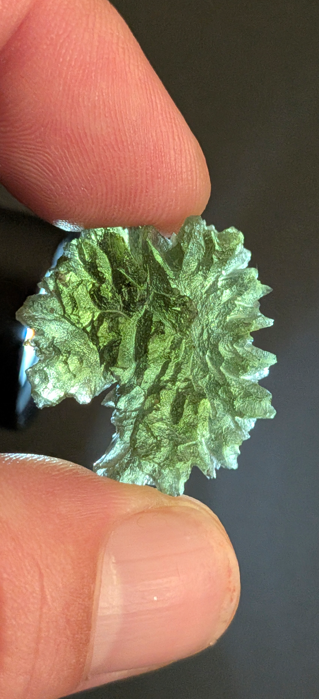 A+++ Grade Hedgehog Moldavite From Besednice - Jezkovna #142 - 4.25g