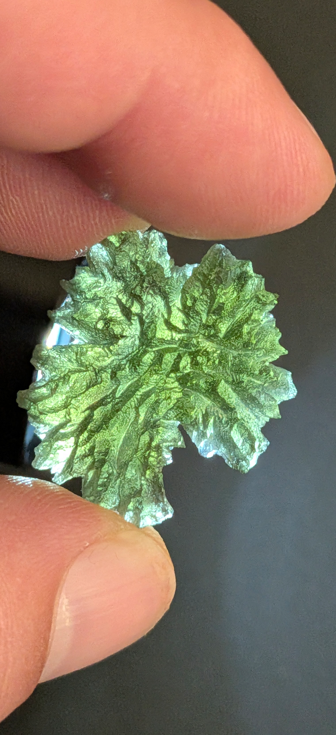 A+++ Grade Hedgehog Moldavite From Besednice - Jezkovna #142 - 4.25g