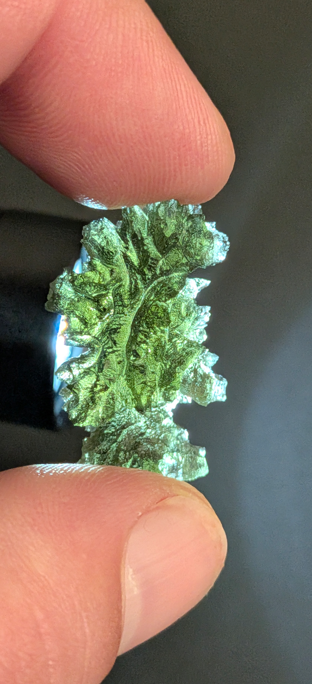 A+++ Grade Hedgehog Moldavite From Besednice - Jezkovna #143 - 3.53g