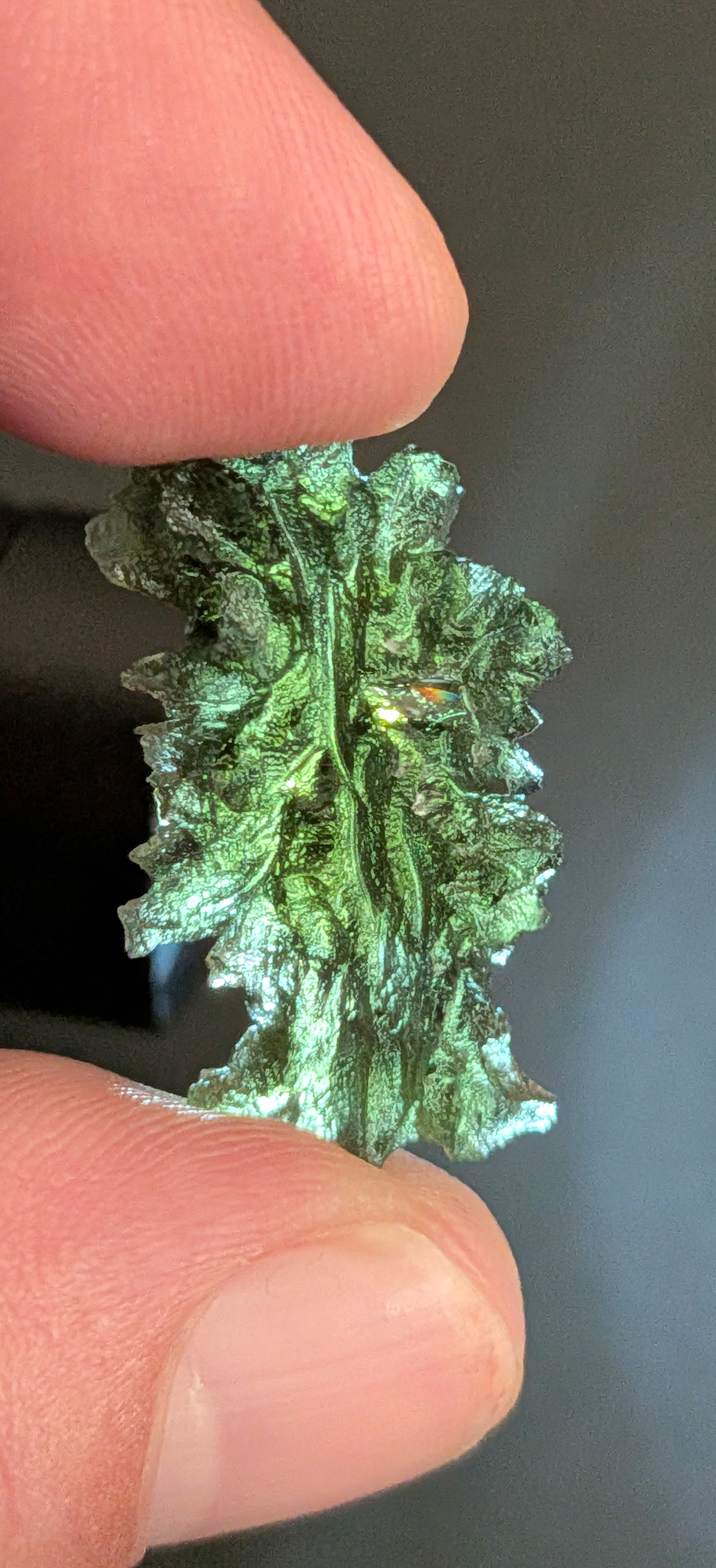 A+++ Grade Hedgehog Moldavite From Besednice - Jezkovna #143 - 3.53g
