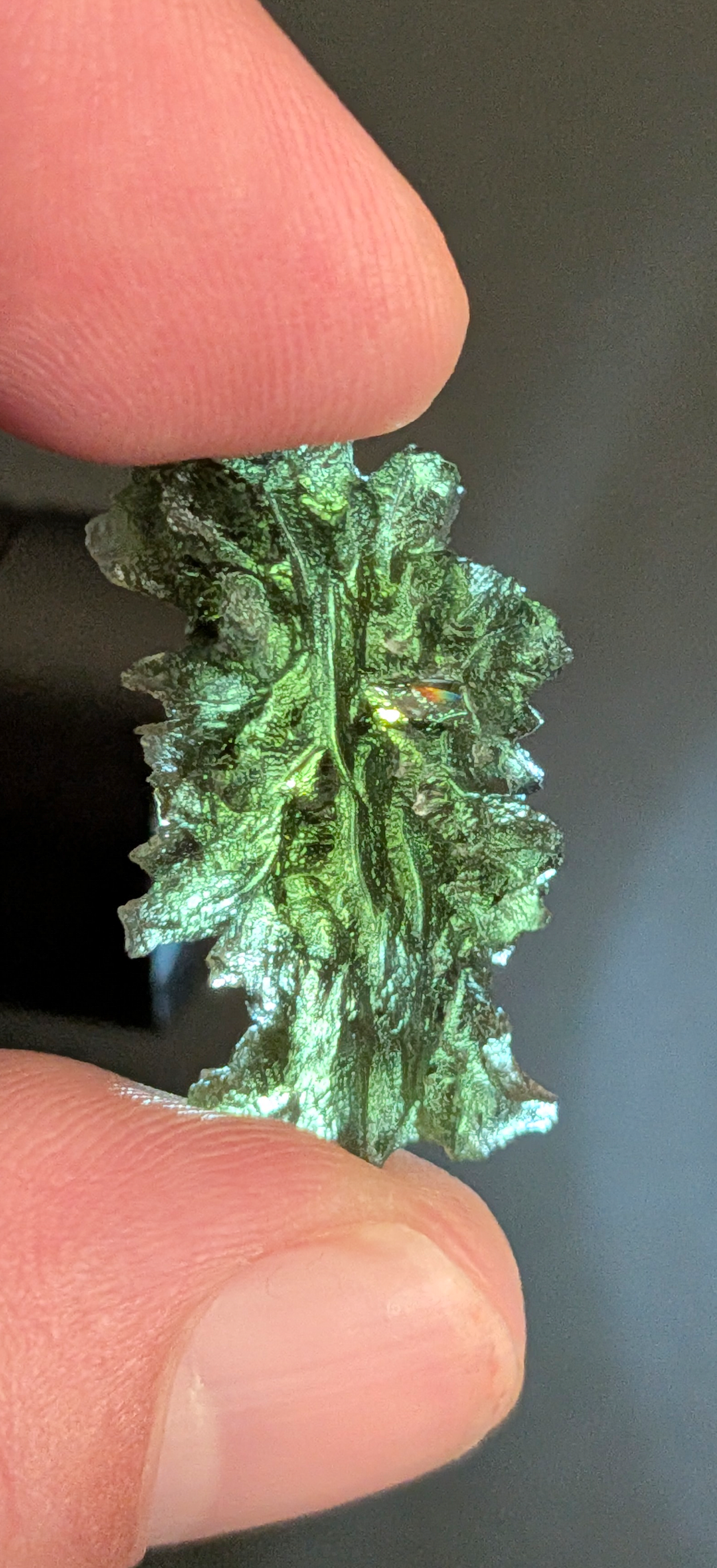 A+++ Grade Hedgehog Moldavite From Besednice - Jezkovna #143 - 3.53g