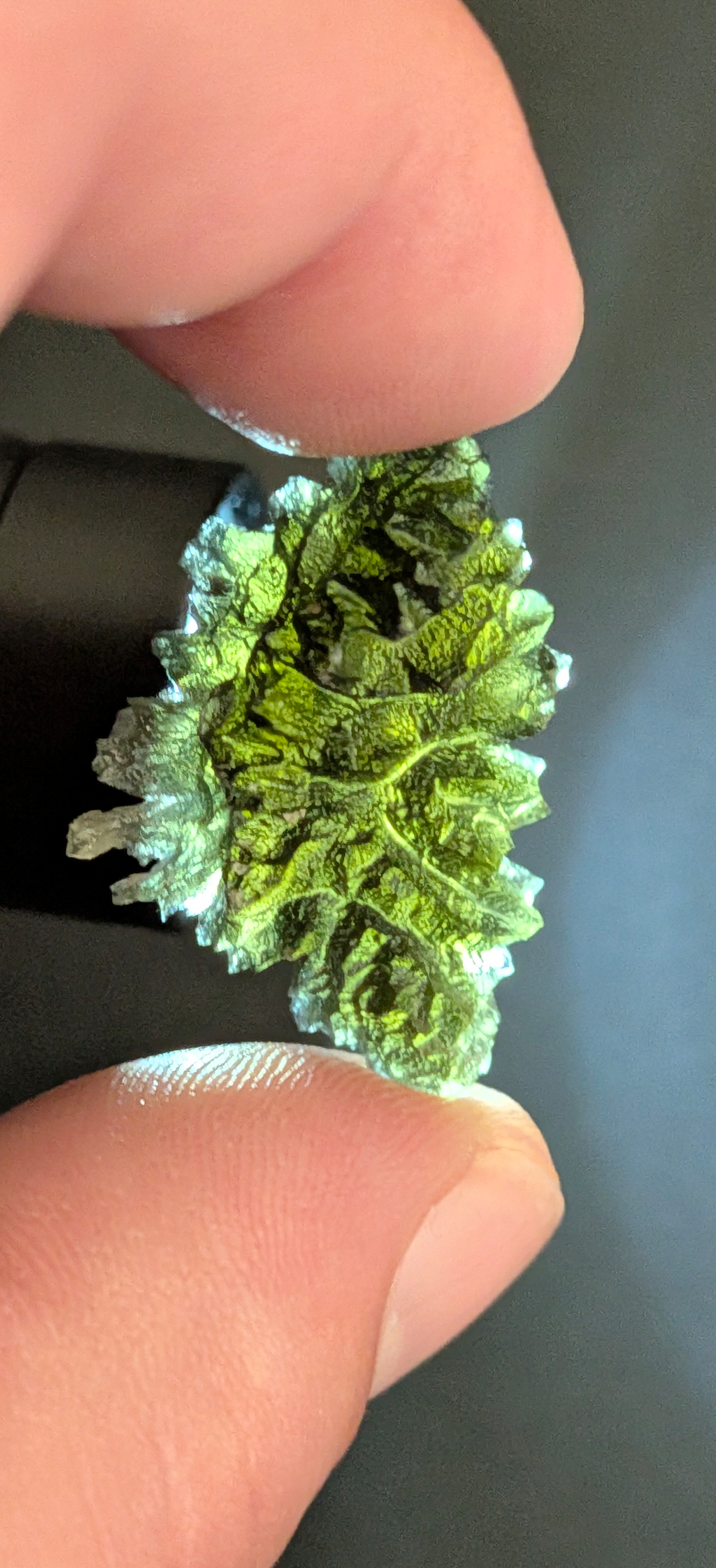A+++ Grade Hedgehog Moldavite From Besednice - Jezkovna #144 - 5.32g