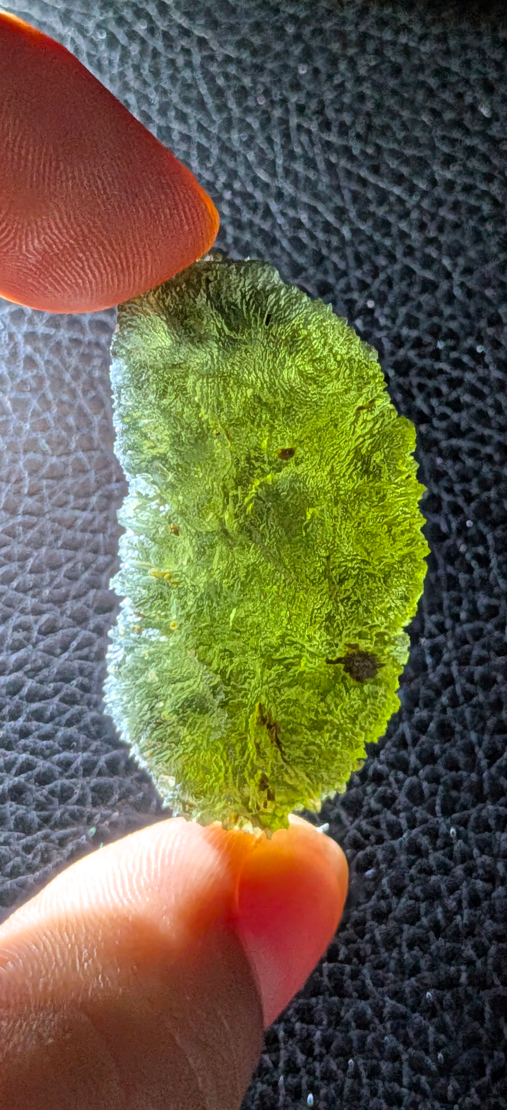 A+++ Grade Moldavite From Dolni Chrastany #146 - 12.94