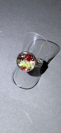 Adjustable Ring With Moldavites And Bohemian Garnets #15