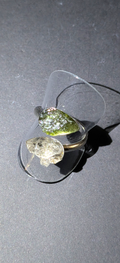 Adjustable Ring With Moldavites and Herkimer Diamonds #17