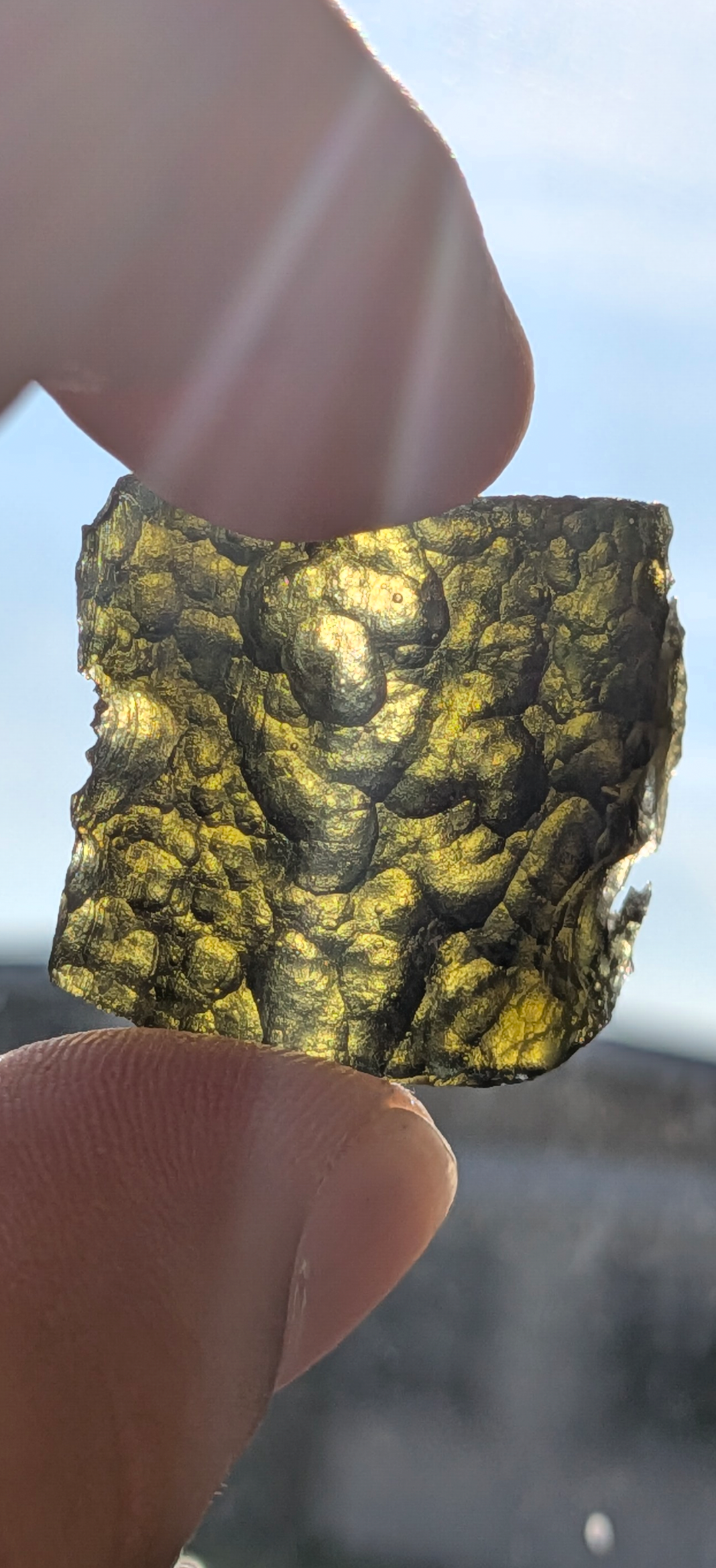 A+ Grade Moldavite From Dolni Chrastany #99 - 7.85g